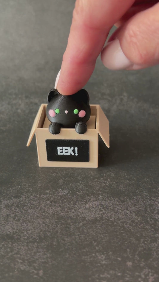 Classic Koko Kitty In a Box Clicker